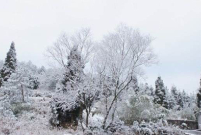 若雪飞，你会何兮