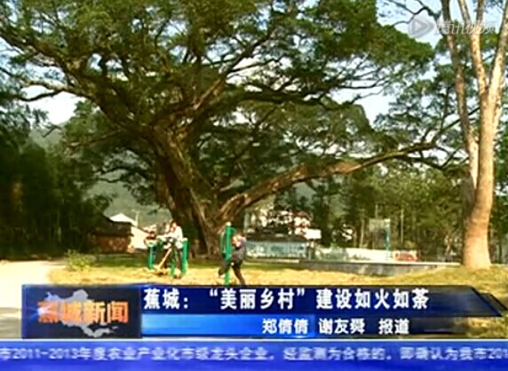 蕉城 “美丽乡村”建设如火如荼