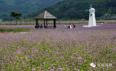 田园风景画——恒润农业观光园