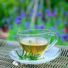 全国“天山绿茶”杯征文大赛作品之——“天山”茶香