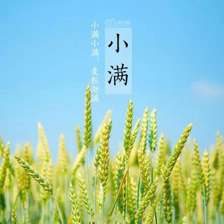 小满节气，你所不知道的事！