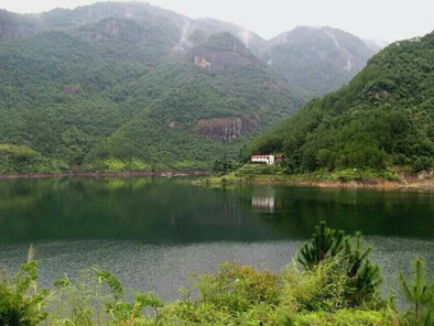 谁愿与我撷一缕春风，栖居蕉城，青丝白发，不离不