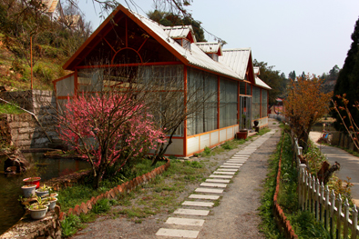 宁德避暑山庄那么多，就爱这一个（附美食+游山玩水宝典)