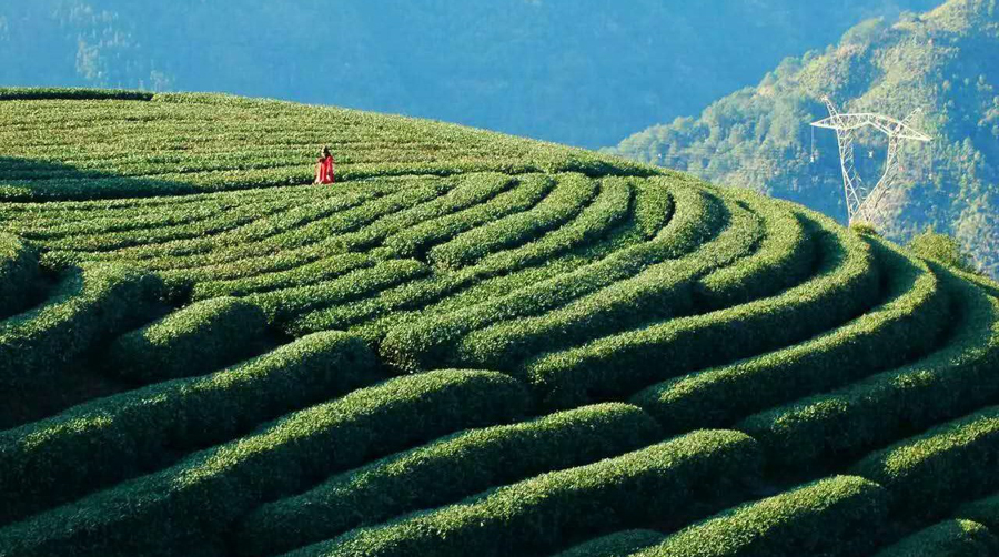 春光烂漫，景致如画，我想在这里遇见你……