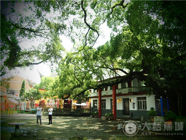 5月相约宁德小镇，一起感受初夏的味道