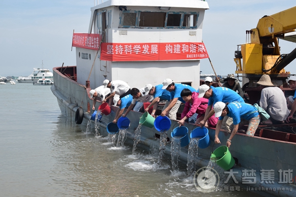 总价值达34.6万元的20万尾曼氏无针乌贼苗放流三都澳