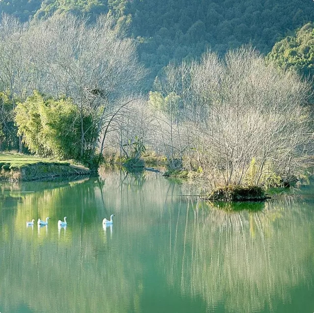 夏至白鹭洲，想停一下