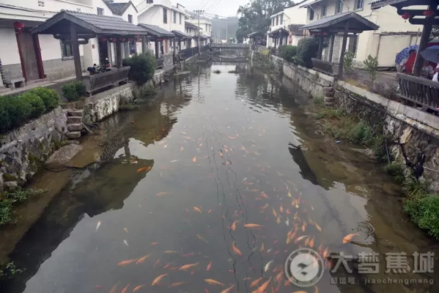 天青色等烟雨 而我在天湖等你