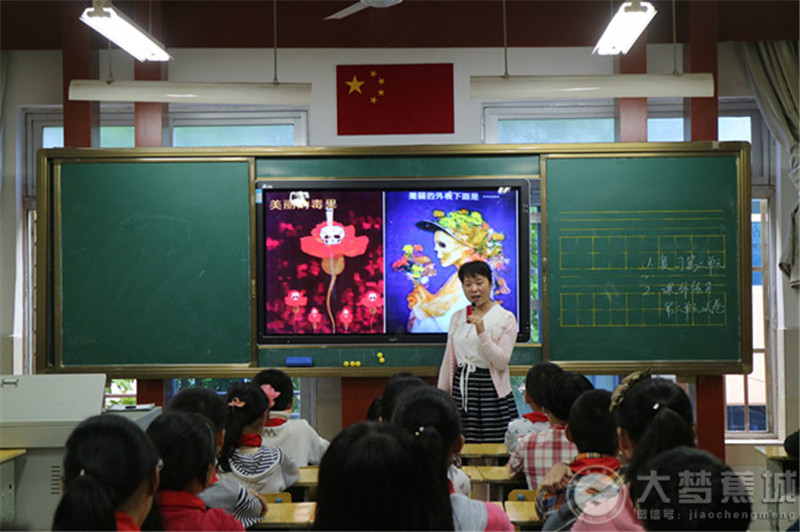 实验小学开展禁毒宣传教育活动