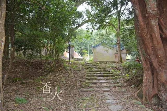 香火宁德の秘境洋头村古朴神农庙