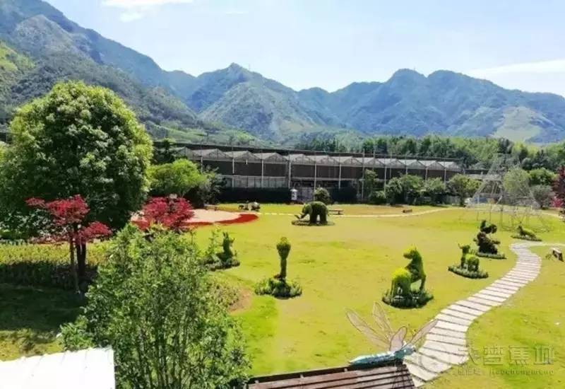 蕉城好村居 丨8月5日乡村游开幕啦,去水韵贵村浪一夏