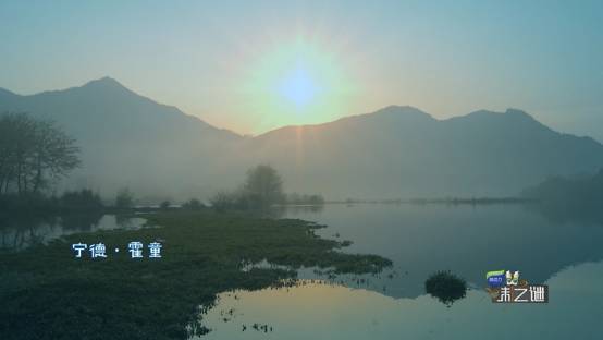 蕉城好味道 | 沈爷大赞好吃，味道很温柔，笋里